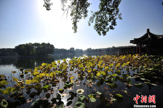 細數京城十大“最美秋天的角落”