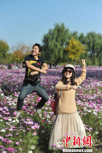 細(xì)數(shù)京城十大“最美秋天的角落”