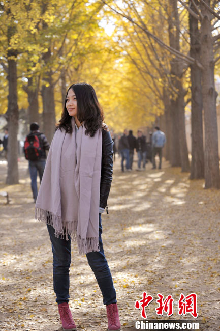 細(xì)數(shù)京城十大“最美秋天的角落”