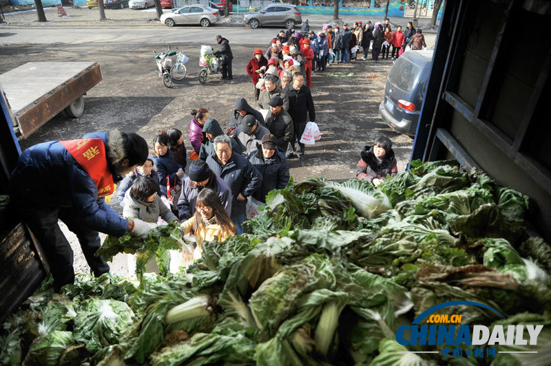 山西太原：愛(ài)心大白菜 免費(fèi)送市民