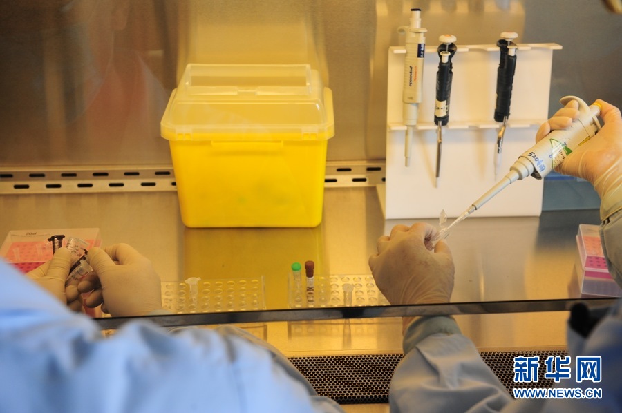 北京市疾控中心規范H7N9禽流感檢測流程