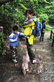 張家界景區(qū)宣布對(duì)全球19歲以下中小學(xué)生免門票