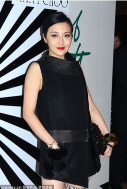 美貌女總裁胡敏珊[組圖]