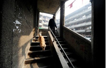 現實版豬籠城寨似古羅馬斗獸場 攝影師鏡頭再現蝸居心酸(圖)