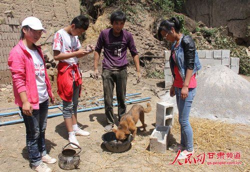 甘肅地震“狗堅強”:小黃狗被埋31小時獲救