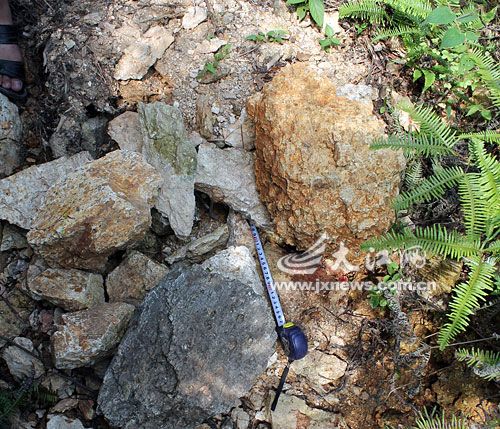 10歲男孩被綁架遭石塊砸頭掩埋 醒后爬出求救(圖)