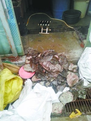 廁所旁邊曬毛肚 加工店老板笑稱每天賣出上百斤