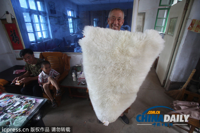 屌絲移民之路：濟(jì)南百余農(nóng)民憑電焊手藝變身“澳洲藍(lán)領(lǐng)”拿綠卡