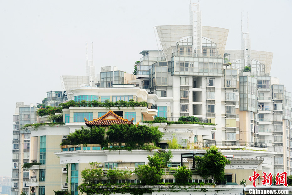 深圳現(xiàn)樓頂“廟宇” 政府部門介入調(diào)查