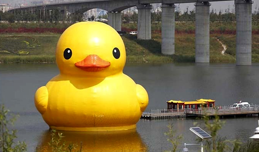 高清：北京大黃鴨拼接錯誤變尖嘴雞 已連夜修復(fù)