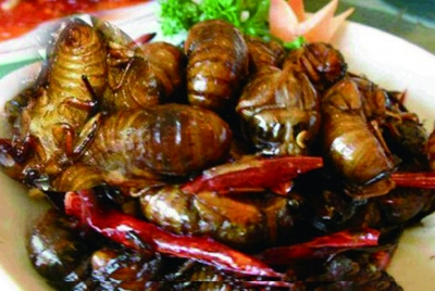 網友評出江蘇十大“怪菜” 炸蛆、活珠子上榜