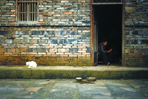 城市化留下農村無人照看老人:兒女只在墻上留下電話