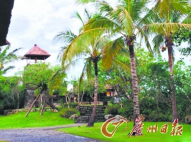 楊冪劉愷威明天大婚 只有唐嫣擔任伴娘(圖)