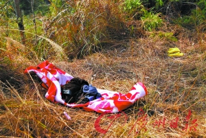 “我是扶人不是撞人” 大叔跳塘自殺證清白