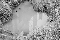 環保志愿者調查企業排污遭打 企業稱曾被人敲詐