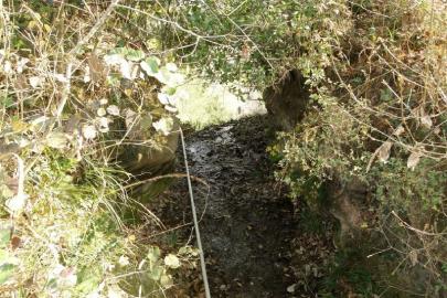 四川兩男童被扔山崖續 村民稱嫌犯系當地一霸