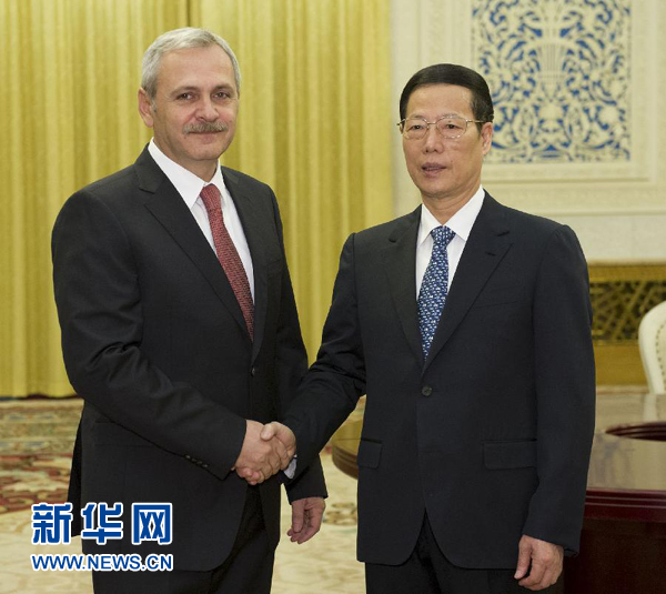 張高麗與羅馬尼亞第一副總理德拉格內亞會談