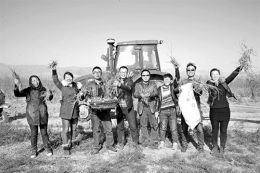 山西代縣18名大學生村官抱團種藥材創業