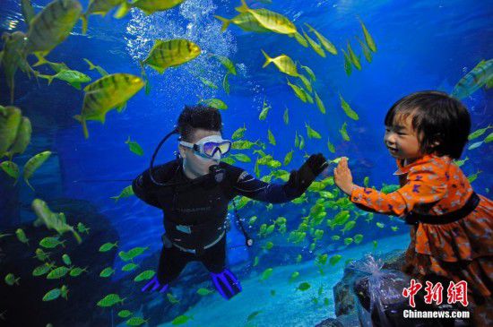 天津游客夜宿海洋館 體驗(yàn)與魚共眠（全文）