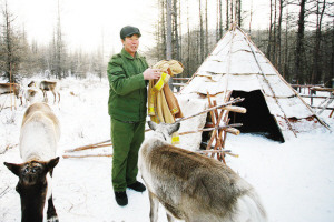 這個冬天 奔向零下30℃的呼倫貝爾