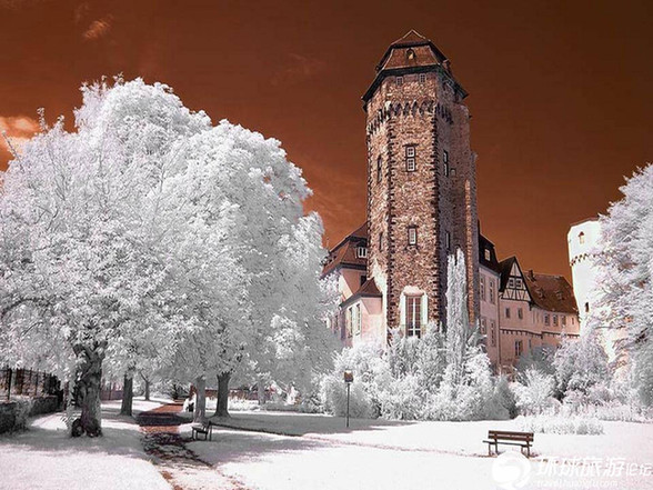 美得令人窒息的雪景(組圖)