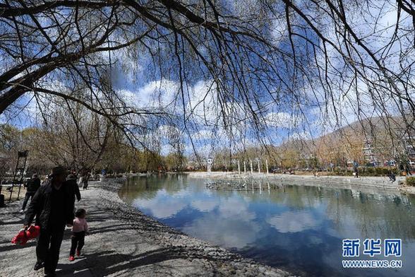 古城拉薩春意濃
