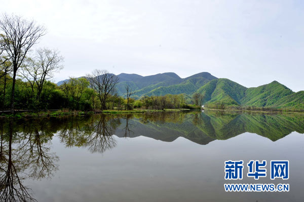 神農(nóng)架高山濕地大九湖掠影