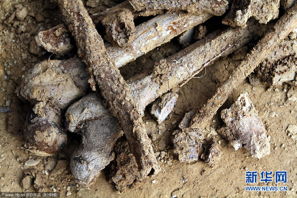 明代夫婦合葬古墓出土 青磚瓦塊現(xiàn)奇特“文字”
