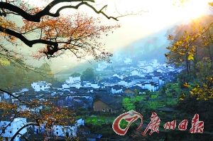 黃云暮紅葉秋 從佛山到婺源的彩色之旅