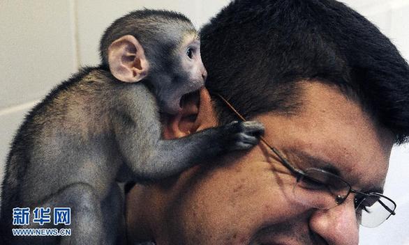 盤點2012潮流style十三式