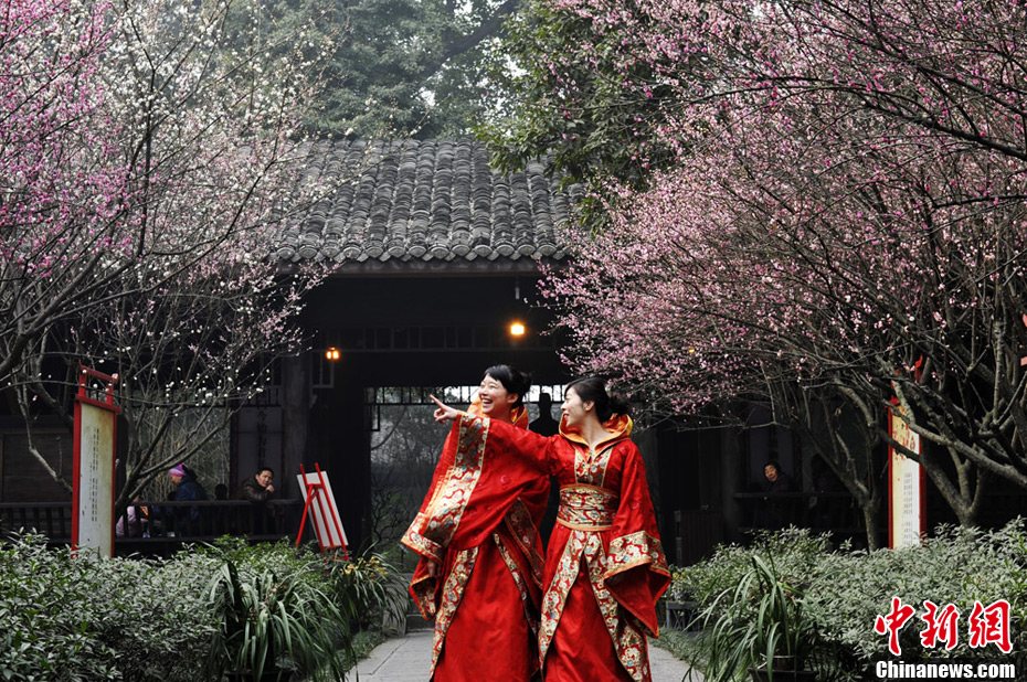 立春時節民眾著唐裝在甫草堂賞梅花