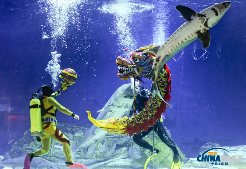 國內首次水下人偶style亮相北京海洋館