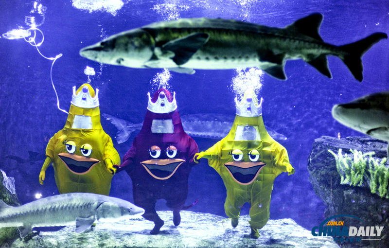 國內首次水下人偶style亮相北京海洋館