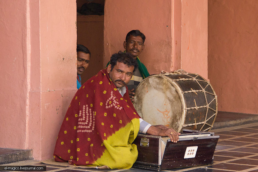 駭人！世界奇怪廟宇之印度“老鼠廟”