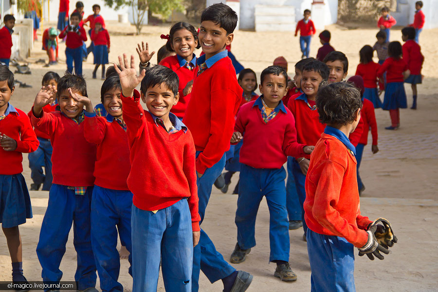 駭人！世界奇怪廟宇之印度“老鼠廟”