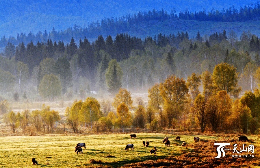 新疆喀納斯景區11月15日起免門票