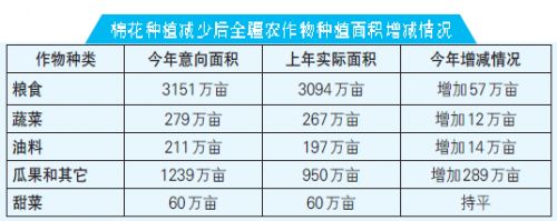 新疆2015年大幅調減棉花種植面積
