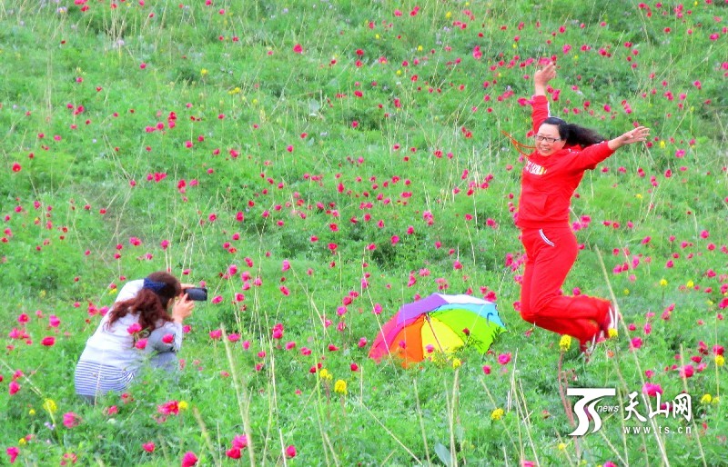 新疆裕民縣山花爛漫引來大批游客