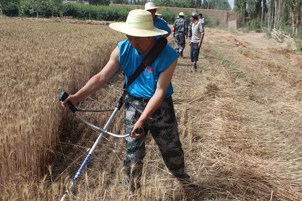 粽情深深 融情基層