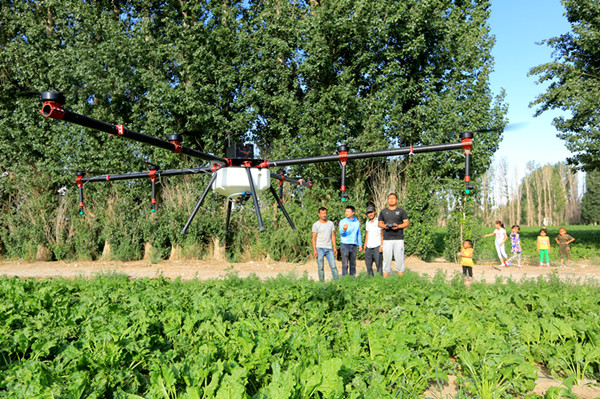 新疆博湖：植保無(wú)人機(jī)助農(nóng)豐產(chǎn)增收