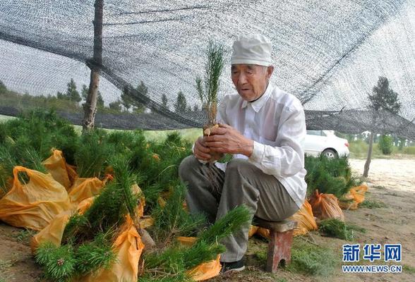 一位九旬老黨員的治沙情結(jié)