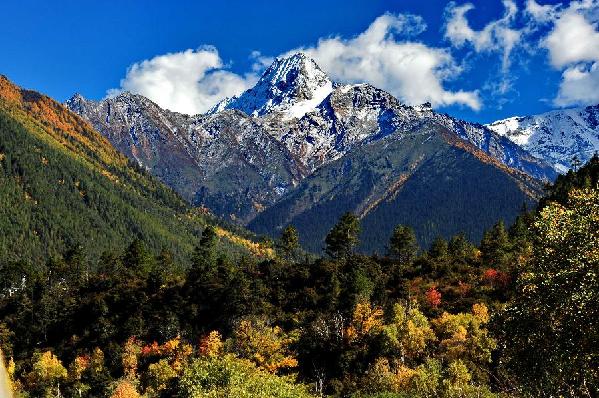 西藏林芝風(fēng)光