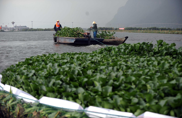 保衛高原明珠之戰：云南加快滇池治理