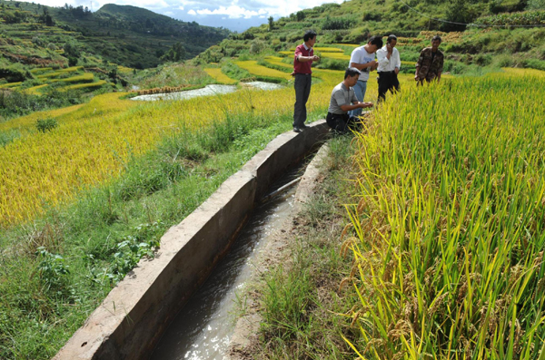 彝鄉抗旱奪豐收