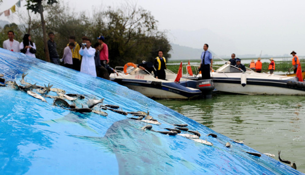 云南放流滇池10余萬尾魚 改善滇池水域生態(tài)環(huán)境