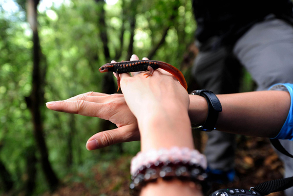 影像在天地 至樂寄山林：體驗(yàn)中國野生動(dòng)物攝影訓(xùn)練營