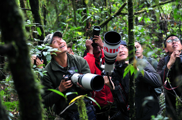 影像在天地 至樂寄山林：體驗中國野生動物攝影訓練營