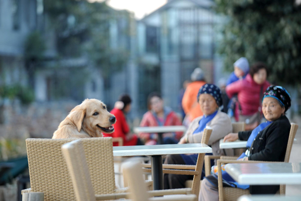 滄海遺珠:大理雙廊