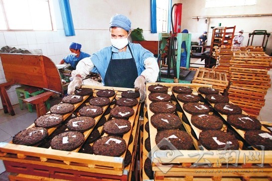 第七屆中國生物產業大會:凝聚智慧共謀發展新路