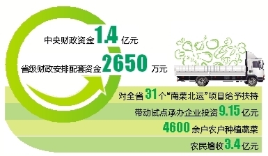 云南“南菜北運”千萬噸 促農增收3.4億元